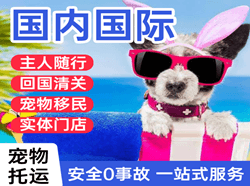 音布鲁克空运公司国际宠物托运 【国