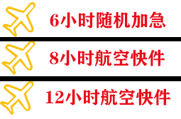 音布鲁克空运公司快递公司,专业空运当天件